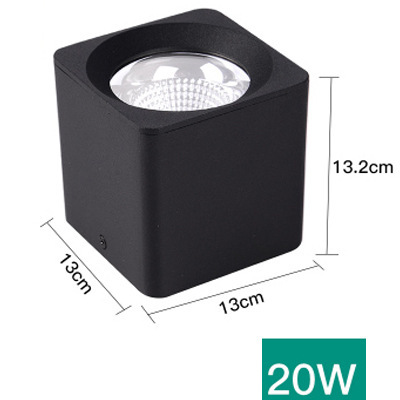 20w white light [6000k] black shell