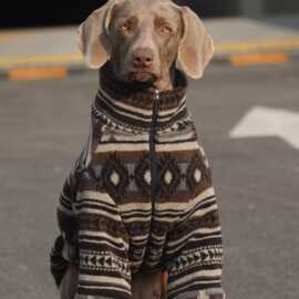 狗狗两脚保暖衣服大型犬金毛边牧威玛冬季加棉加厚棉复古棉衣服