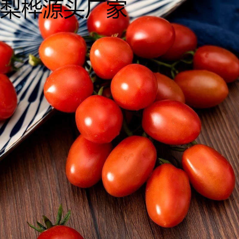 圣女果酸甜樱桃番茄一整箱小番茄正小西红柿新鲜应季水果红色工厂