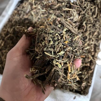 批发各种规格中药材甘松  水洗净货甘松