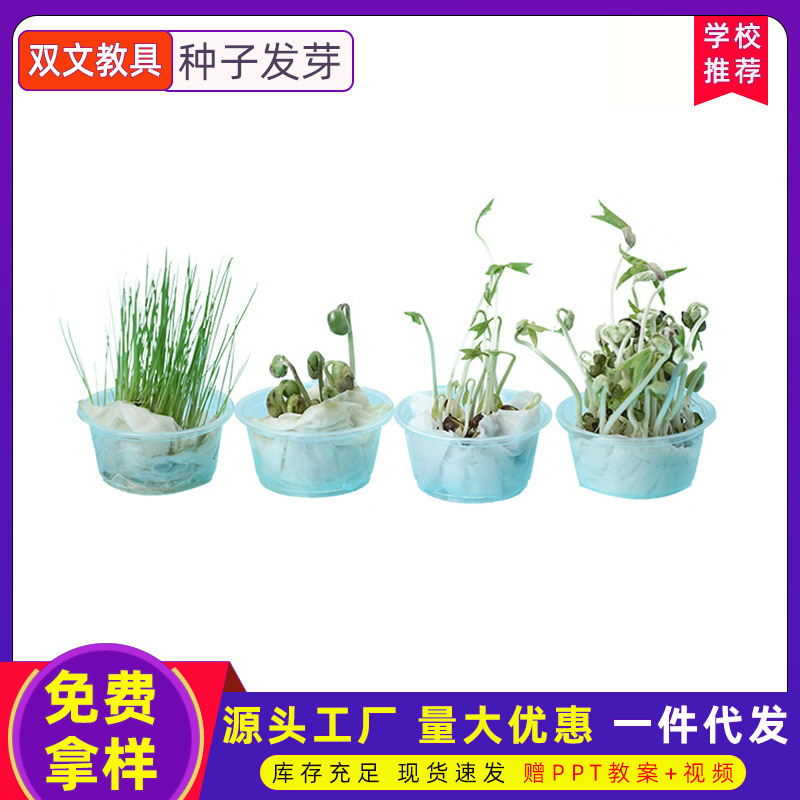 Tecnología pequeña producción semilla germinación Tecnología pequeña producción niños alumnos de Primaria ciencia y educación experimental juguetes interesantes materiales educativos