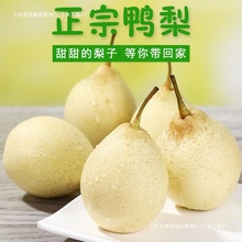 �ӱ�����ˮ���殔�����rˮ����Ƥ���r����һ����10��5��3����]��