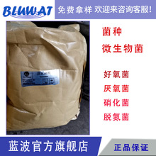 ���ƻ���29̖�{�����W���������������ˮ�l��ˮ���N̎�턩��Ч