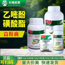 ���� �ۄ��� 25%���׷ӻ����� �S�ϰ׷۲��rș������20g-500g���]