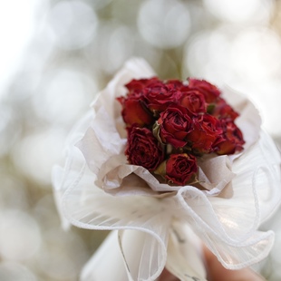 Exquisite Mini Bouquet Ins Style Rose Dried Flower Accompanying Gift Decoration Mother's Valentine's Day Stars Eternal Flower