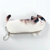 Рэгдолл кот