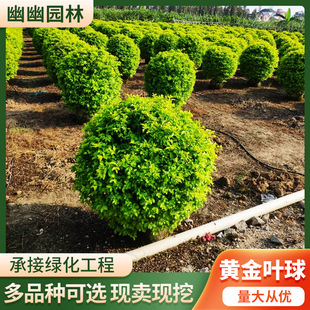 ��ɭŮؑ�򳣾G���~�S���~�򹤳�����G��ֲ������~��@�־G��