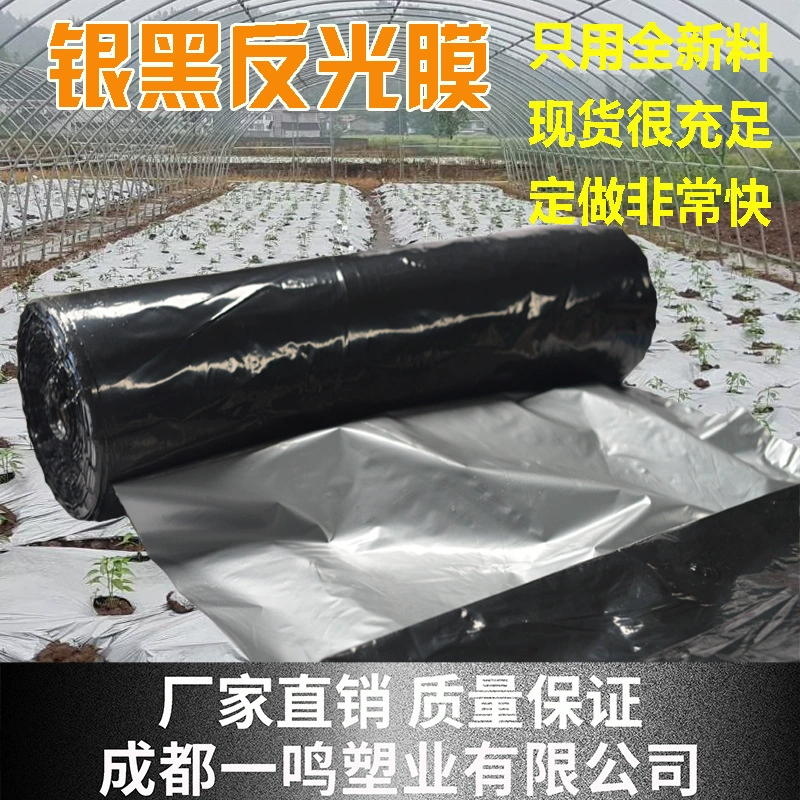 Производитель оптом сельскохозяйственная PE виноград, яблоко, фрукты, дерево, светоотражающая пленка, серебряная и черная мульч-пленка, можно перфорать, светоотражающая мульчирующая пленка
