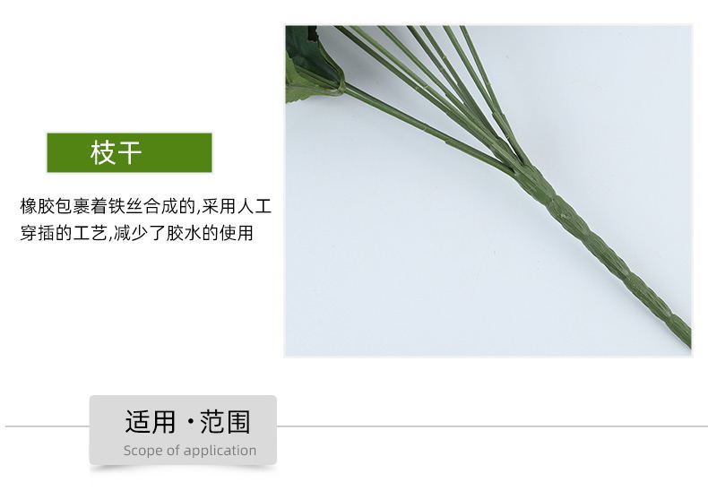 9头韩式菊 详情13