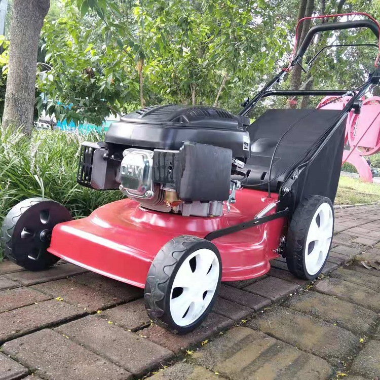 燃油手推式割草机 绿化手推式草坪机 汽油手扶式草坪割草机