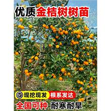 ������۽�ۘ����Ƥ����ļ����������҃����̨ˮ����ȫ���ɷN