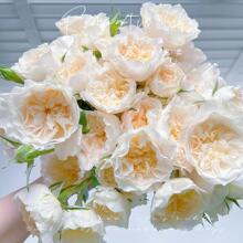 һ�����l�Ƚ����¼������_��õ�����Ի�������ֲ���ٱ��Nޱ��Gֲ