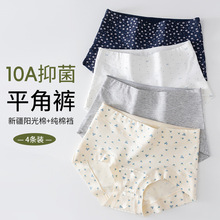 2025新款夏季薄款纯棉内裤女生抗菌裆胖mm大码女款亲肤女士平角裤