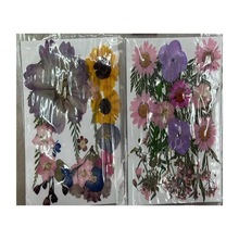 Ѻ�� �����M�� �����M�� ��N���ݽM�� ��� ��ˇƷ����