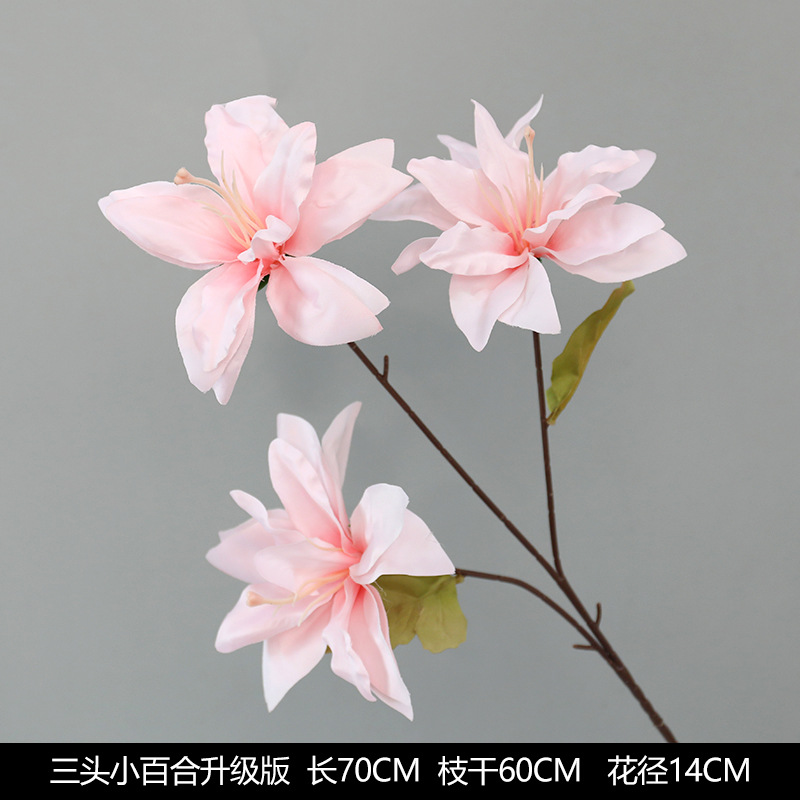 세 머리 작은 백합