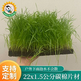 栽培基质;花盆容器;其他园林资材