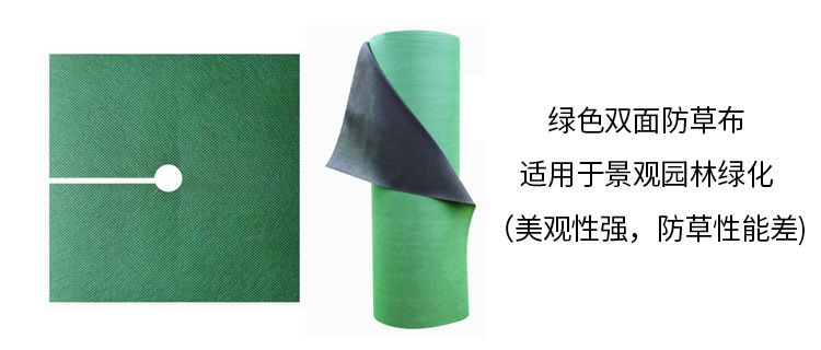 O1CN01IY0SOy1bWgaECgATI_!!2924243473-0-cib.jpg?__r__=1744185929224