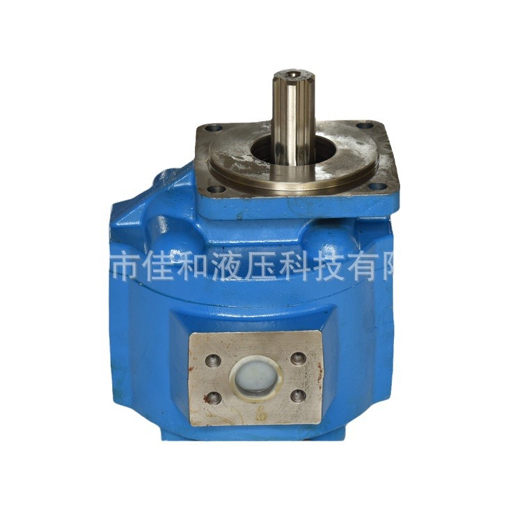 渔船用CBG齿轮泵    小型装载机低压齿轮泵   CBG2040