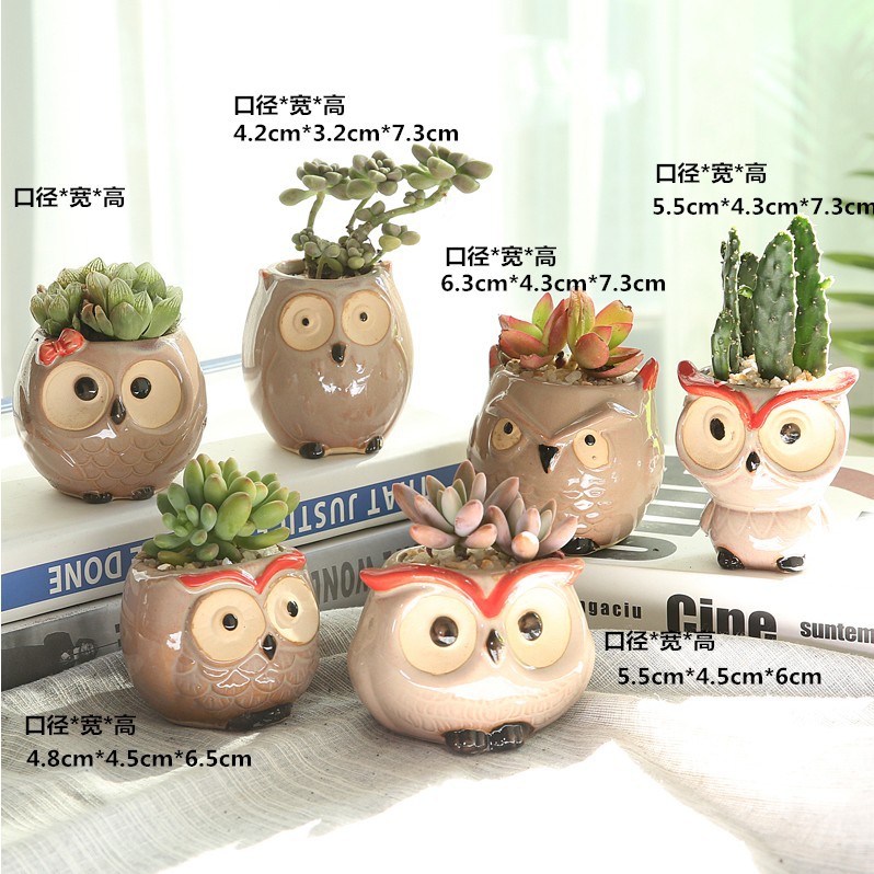 Macetas de cerámica para suculentas con diseño de animales de dibujos animados, pequeño tamaño, para estante de flores en casa, suministro al por mayor