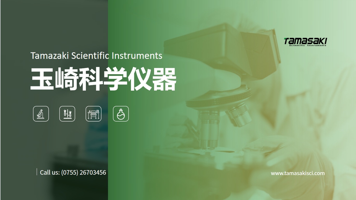 微信截图_20241021162949