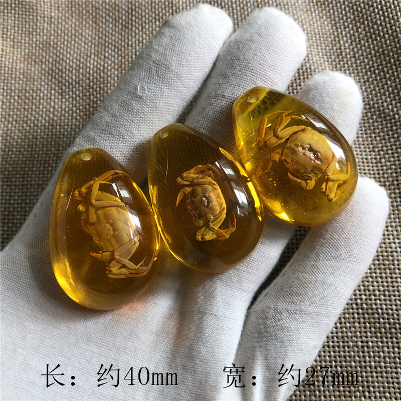 儿童挖掘考古昆虫标本 合成树脂琥珀昆虫 散装水滴盲盒标本现货|undefined