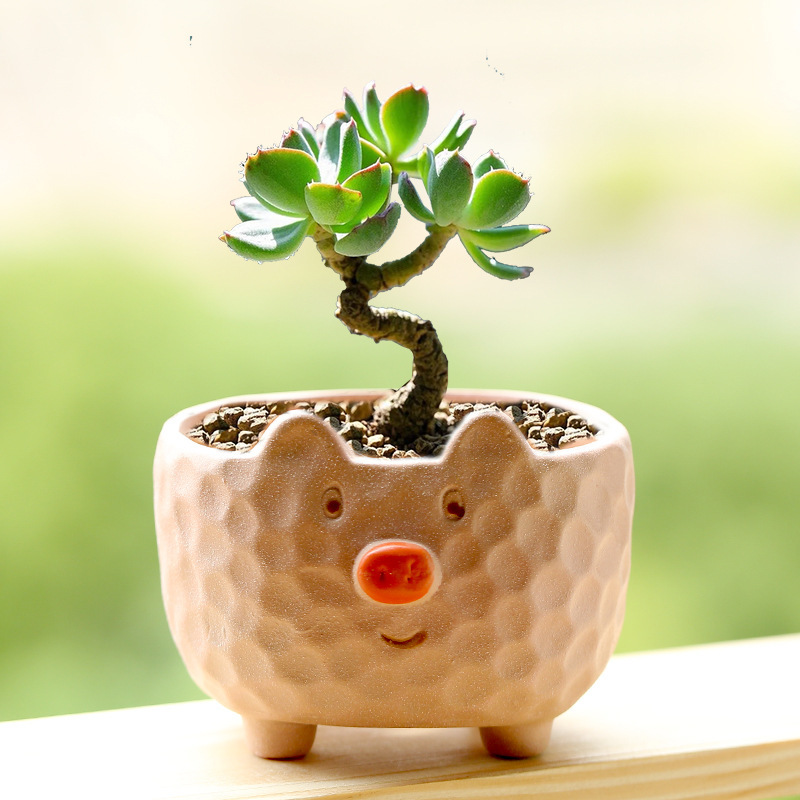 Pink Pig Cartoon Animal Succulent Pot Ceramic Household Special Breathable Clay Coarse Pottery Root Control Pot Wholesale Clearance