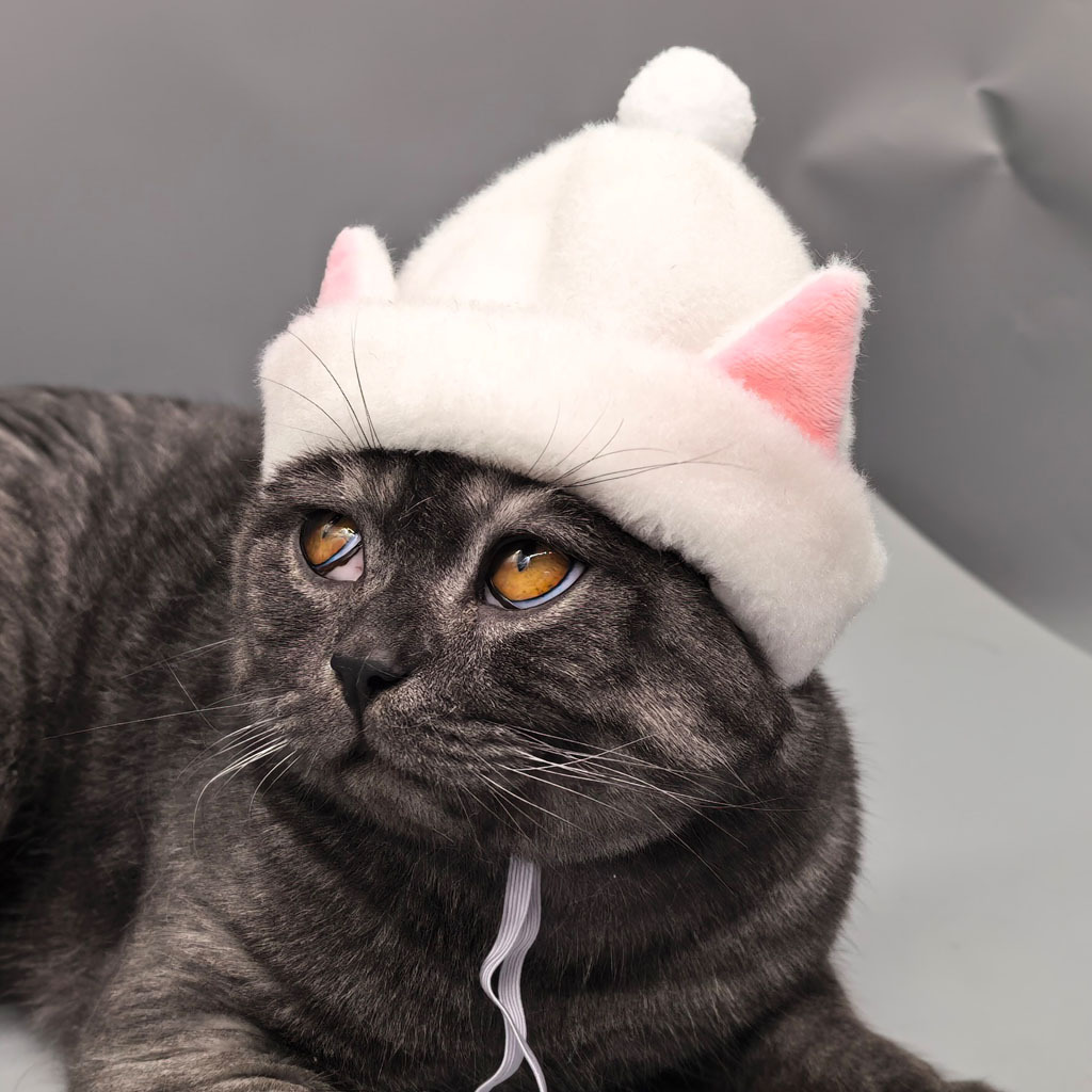 Gorro de pelagem sintética de coelho para gatos e cães_voghion.com