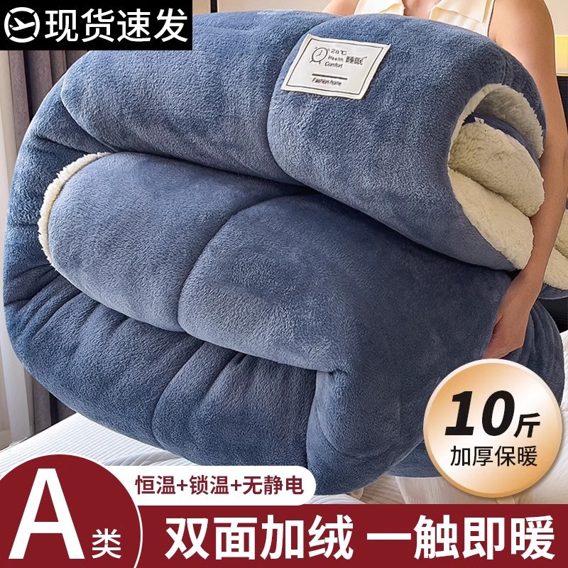 2025 New Lamb Wool Quilt Winter Cotton Quilt Core for Dormitory Single Autumn and Winter Thickened Warm 5kg