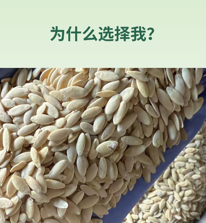 Dried Cucumber Seeds Northeast China New Crop Premium Grade 1 Jin Retail Wholesale key features
