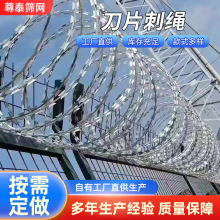 刀片刺绳双螺旋蛇腹型防鼠爬304刀片栅栏带刺机场铁路刺丝滚笼