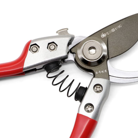 Taiwan Sagawa Tian 819C New Fruit tree pruning scissors branch cutting scissors gardening tools