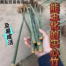 ��������������ͥԺ���Ԍ�����������N�����������L��������]