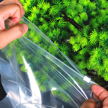 b朴͸·bӺԷڴ10zA朴rռ{