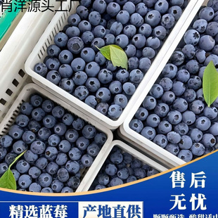 �����{ݮ���r���һ����a��ֱ�l���Ì����oʳ�S���l���]���l���S