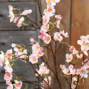 ������ʽ����ָ�ѻ����滨�ܼ��һ�֦��c�Ƶ겼�üٻ��Ӽ��b�Ʒ