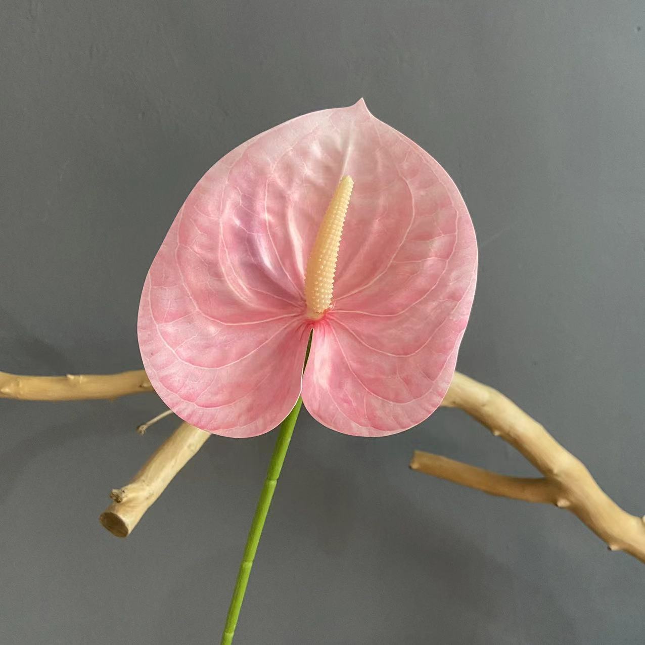 #7 (색상 당 10 스틱 픽업, 덜 쏘지 마십시오)