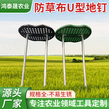 镀锌防草布U型钉 园艺工具草坪施工工具防尘网地膜固定钉户外地钉
