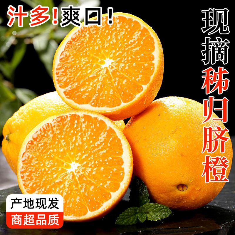 秭归脐橙新鲜水果摆摊榨汁当季时令橙子多汁薄皮手剥橙批发代发