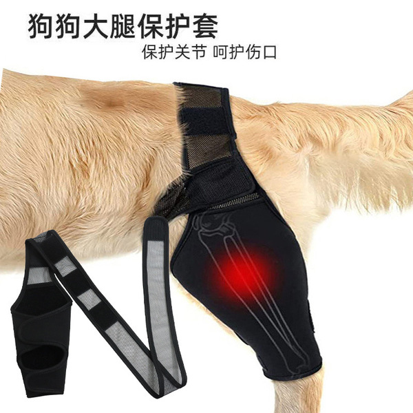 protective case