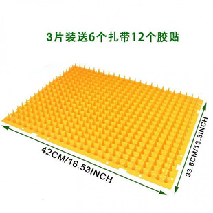 ��ɫ��؈�̉|��ֹ؈��������ɳ�l���ɫ��춿�����ƽ�