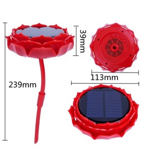 ���������׷���̫����Ԅӳ�늲��řC������푳���C����������