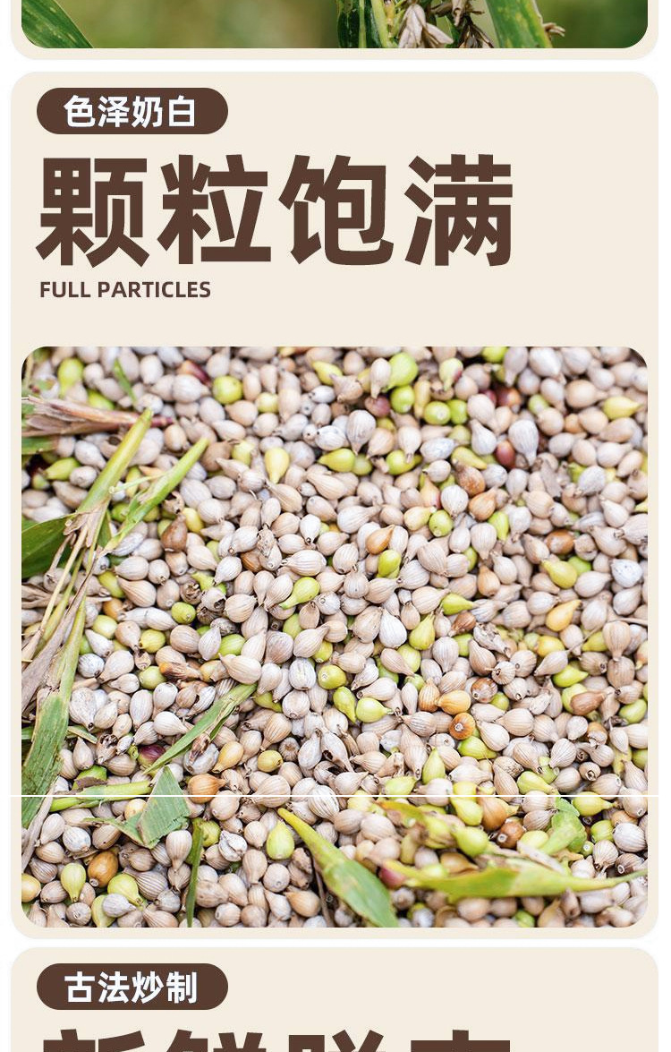 Stir-Fried Coix Seed Yi Yi Ren 100g Bag Dried Job's Tears for Tea Soup and Congee key features