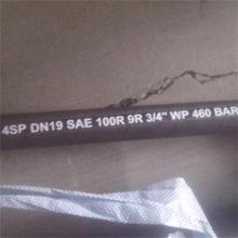 _l ̽B ø߉p@z DN194sp