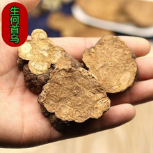 ���מ�Ƭ�������מ��מ�Ƭ����ș�Įa��؛���l����