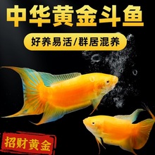�S���~���~�������ˮ�~���^�p�~�ͻ���B�����Ї����~��ˮ�~