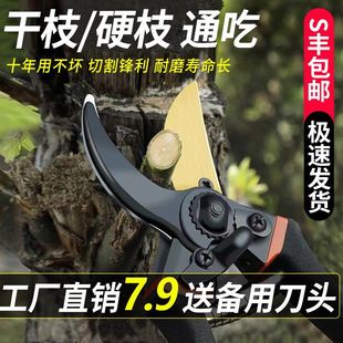 Germany imported sk5 strong gardening shears stainless steel labor-saving pruning fruit trees thick branches special scissors
