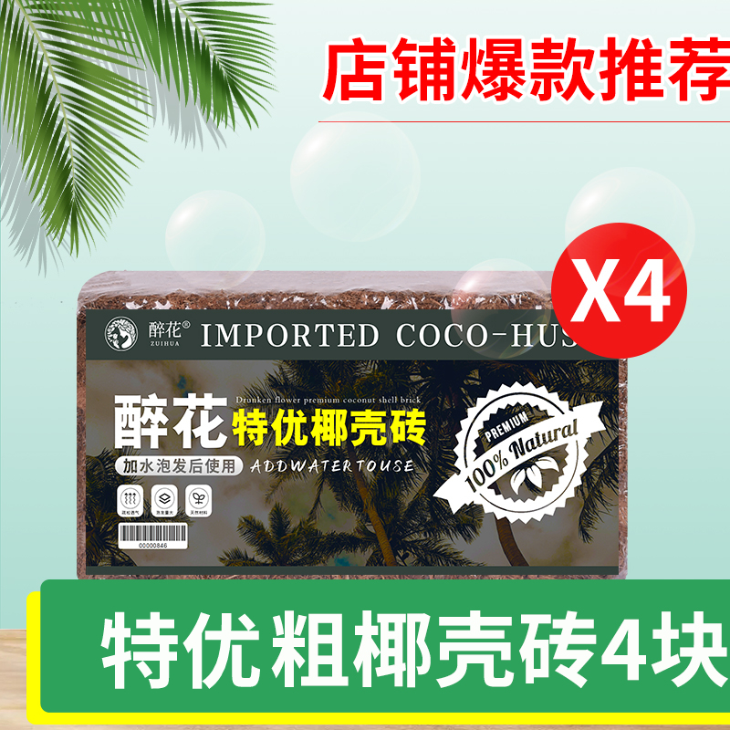 4 개의 굵은 코코넛 껍질 벽돌 [어느 날 지방 8 위안 활동에 남아 ☆]