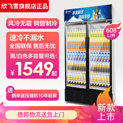 欣飞雪饮料展示柜商用冷藏柜保鲜双门冷饮柜立式单门啤酒冰柜冰箱|ru