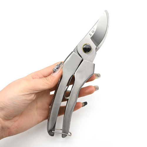 Famous diamond 150195 garden pruning shears, green pruning tools, fruit picking scissors, fruit branch scissors, gardening tree shears