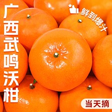 �V�����Q�ָ����rˮ����؛��������10ɳ�ǽ�����ɰ�Ǹ��ٽ�����5
